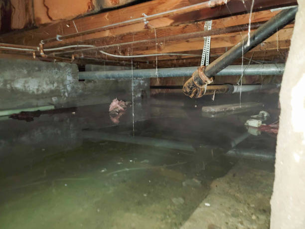 Best Emergency water damage restoration  in Manor, PA