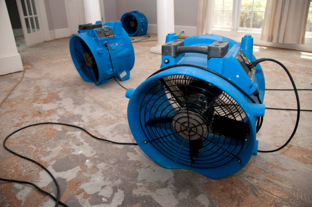 Best Water damage restoration near me  in Manor, PA