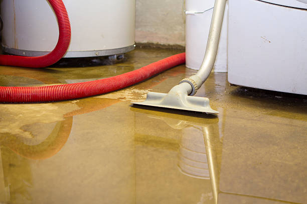 Best Mold removal after water damage  in Manor, PA