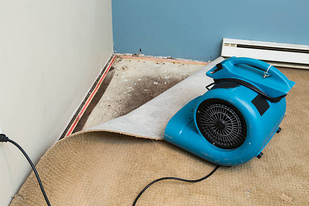 Best Residential water damage restoration  in Manor, PA